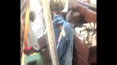 JAVHD