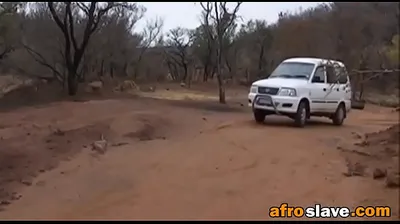 JAVHD