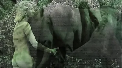 JAVHD