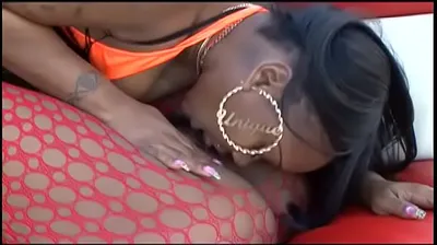 JAVHD