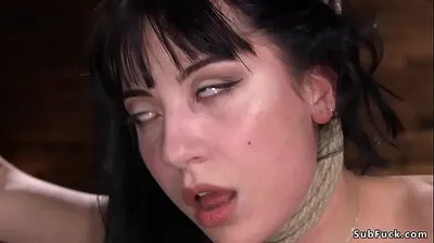 JAVHD