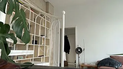 JAVHD