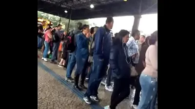 JAVHD