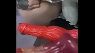 JAVHD