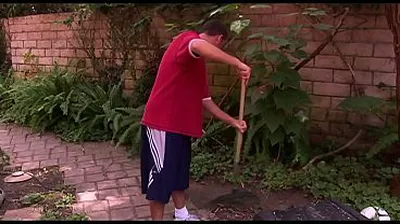 JAVHD