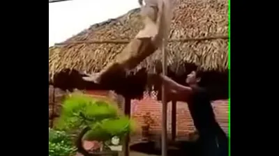 JAVHD