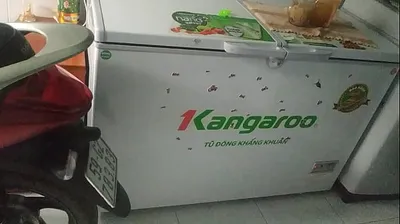 JAVHD