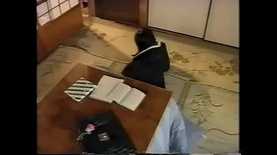 JAVHD