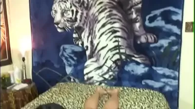 JAVHD