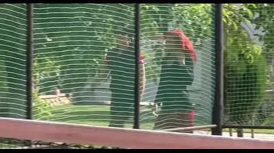 JAVHD