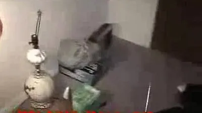 JAVHD