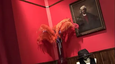 JAVHD