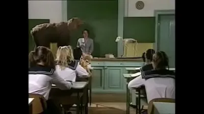 JAVHD