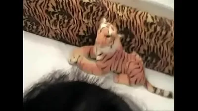 JAVHD