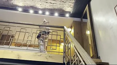 JAVHD