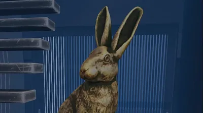 JAVHD