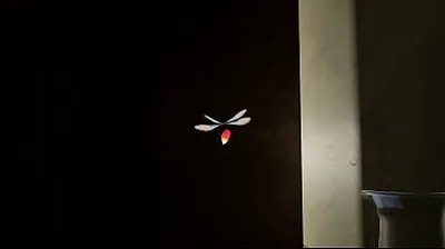 JAVHD