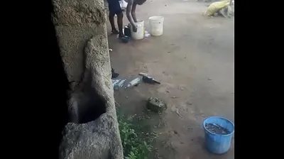 JAVHD