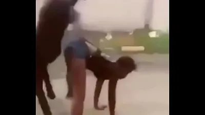 JAVHD